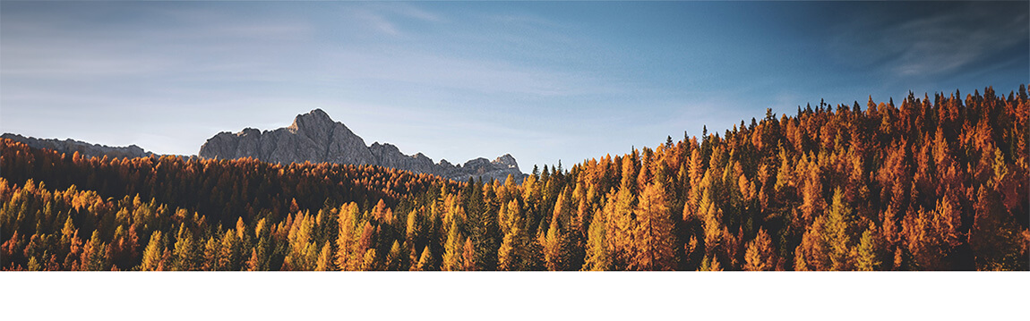 Stanley Cup Thermobecher Lanschaft